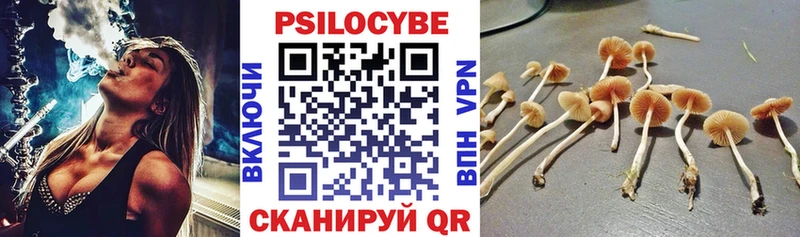Галлюциногенные грибы Magic Shrooms Назрань