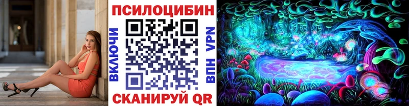 Галлюциногенные грибы Psilocybine cubensis  Назрань 