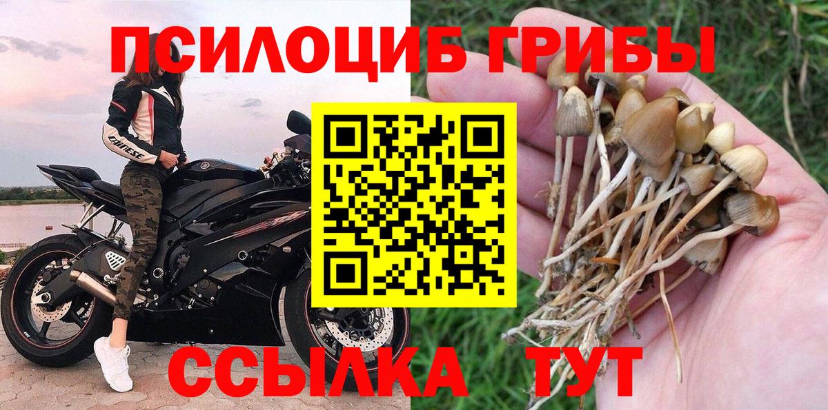 Галлюциногенные грибы MAGIC MUSHROOMS Назрань