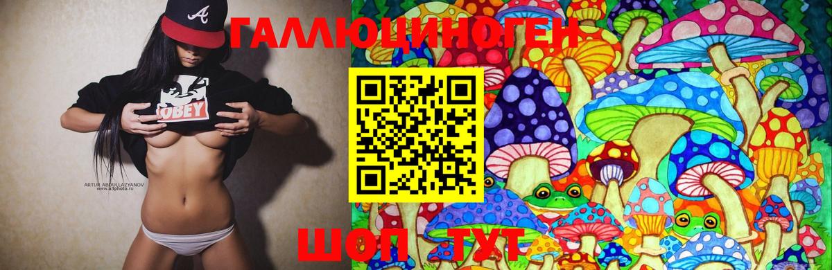 Назрань  Псилоцибиновые грибы Psilocybe  Вход с VPN 